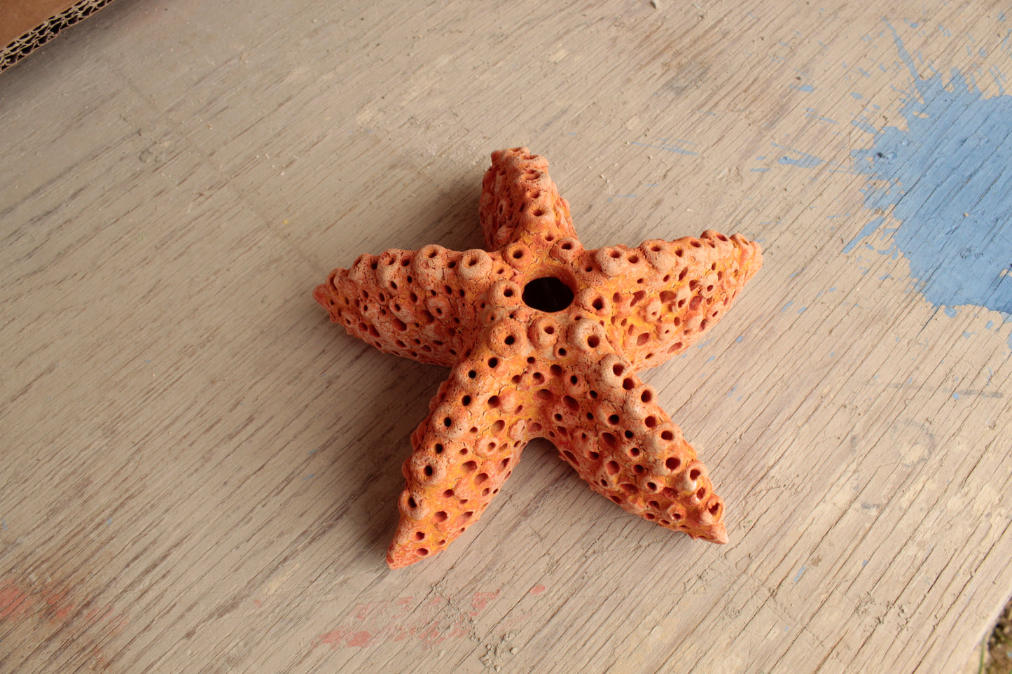 Lanterna Stella Marina