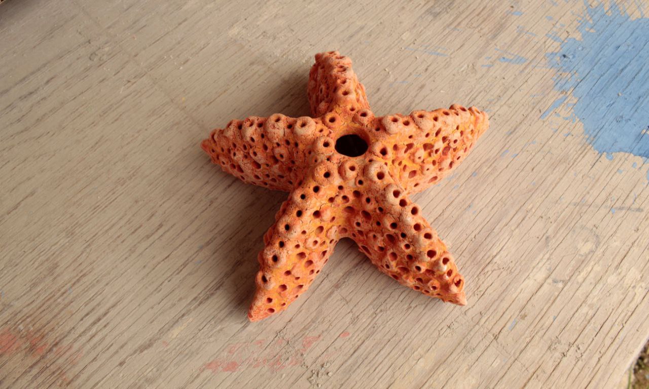 Lanterna Stella Marina