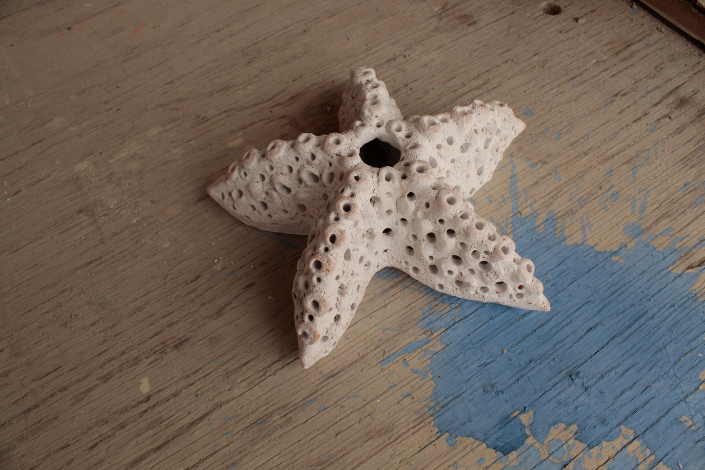 Lanterna Stella Marina