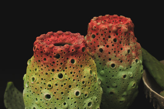 Lampada in terracotta "Ficalindia"